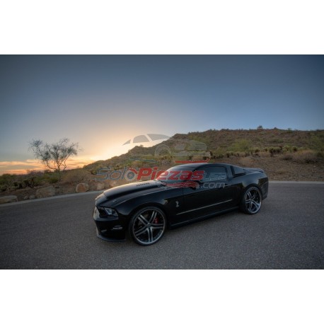 2010 AL 2014 FORD MUSTANG CAPO