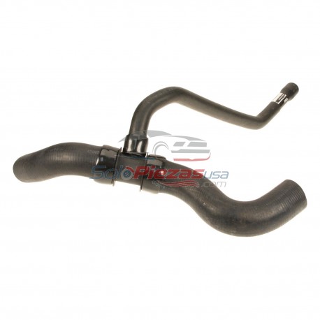 Manguera inferior ford mustang