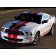 Recambios Americanos | GT500 BODY KIT FRONTAL